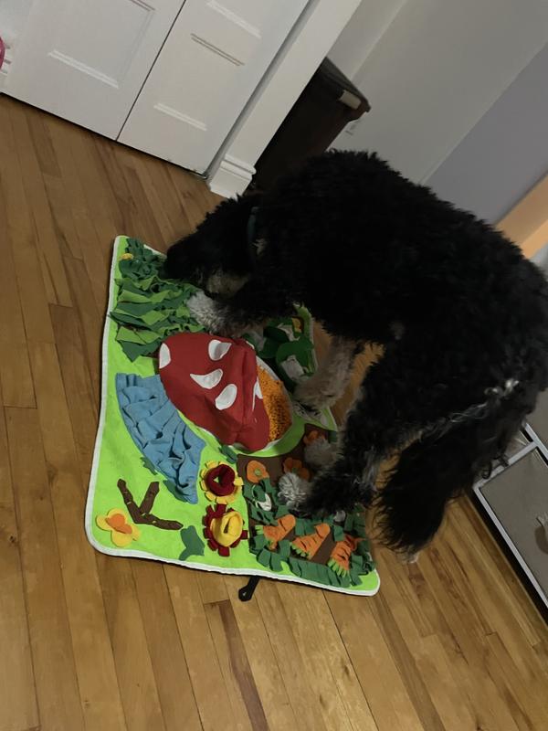 Tapis de fouille avec croquettes beyond