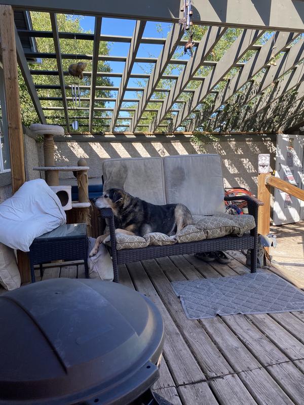 Photo - commentaire&nbsp;1.