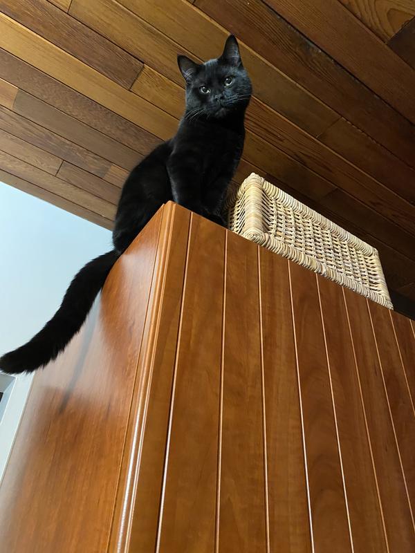 Watching my food being served.