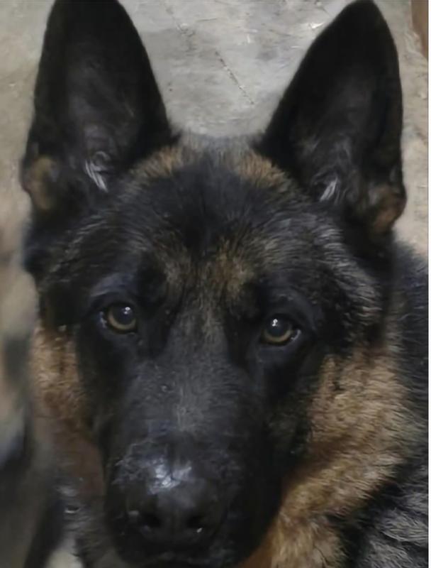 Hearts are stolen with this guy