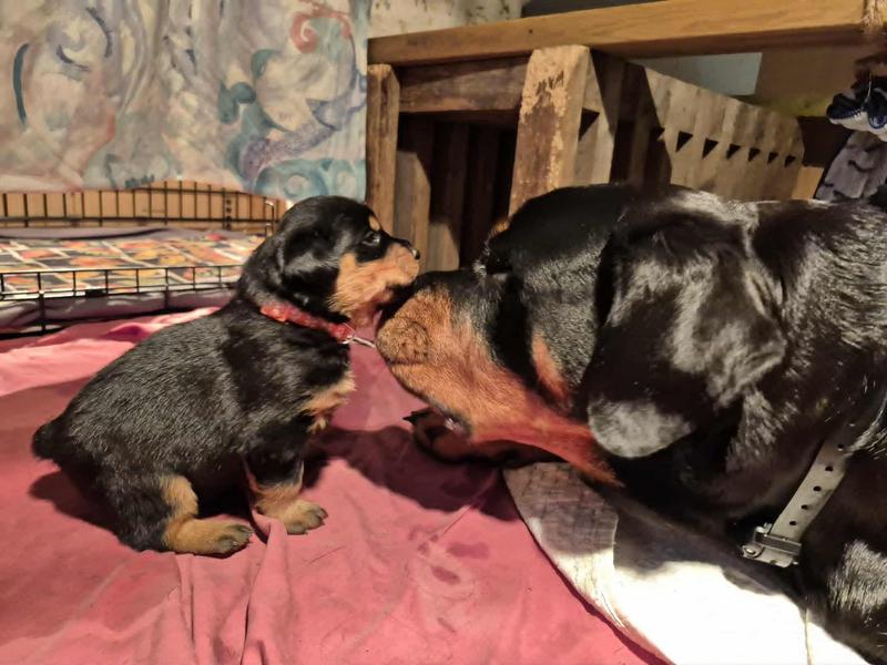 And we always listen to Mom.