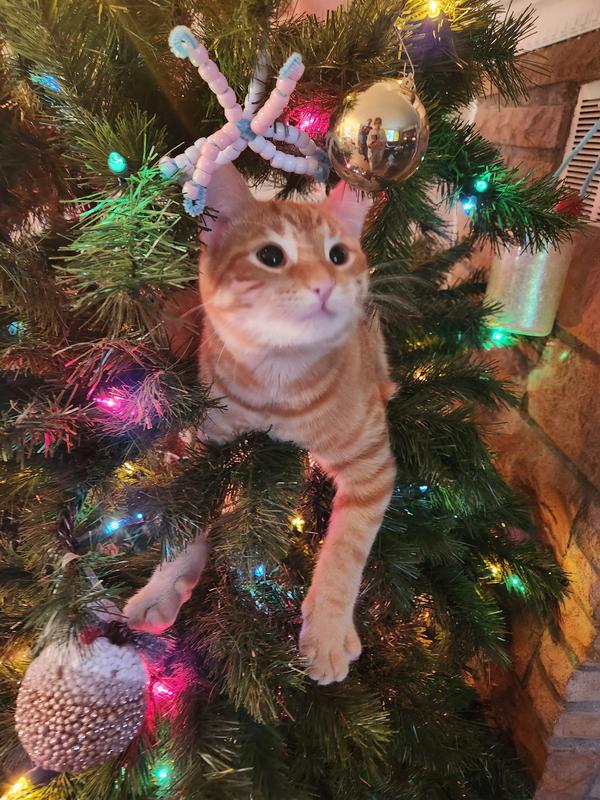 My new Christmas Tree Ornament