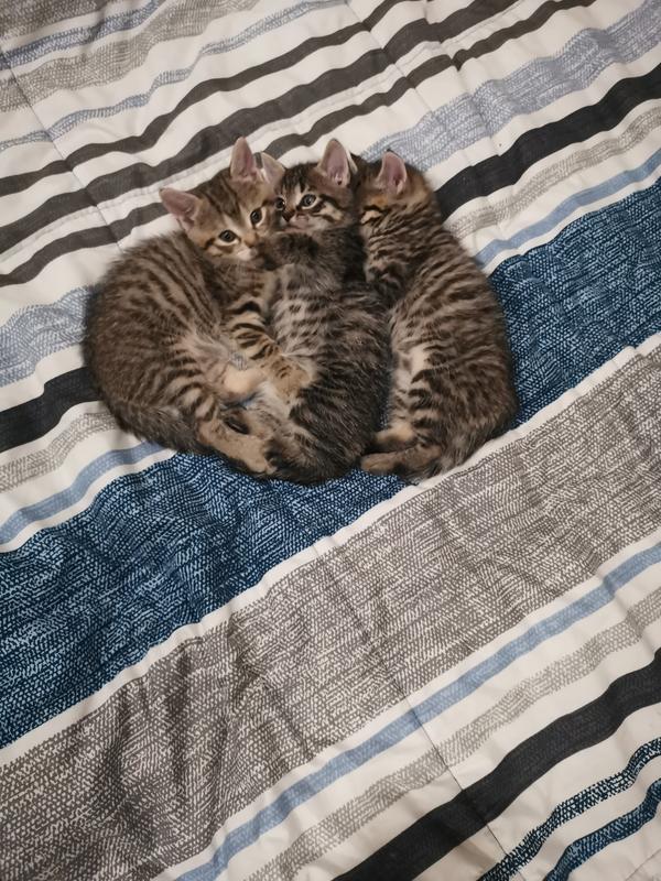 Photo - commentaire&nbsp;1.