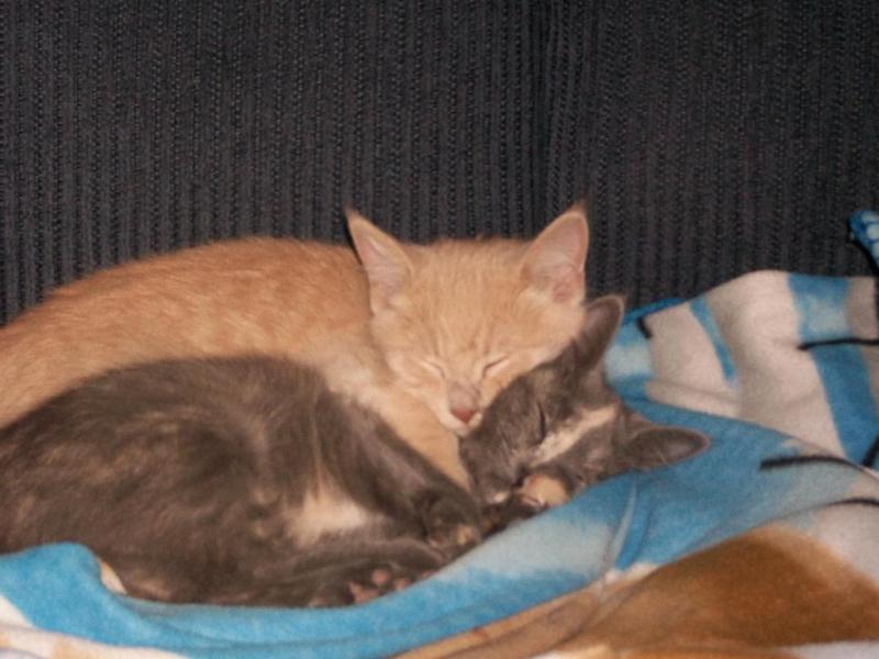 My babies when I got them