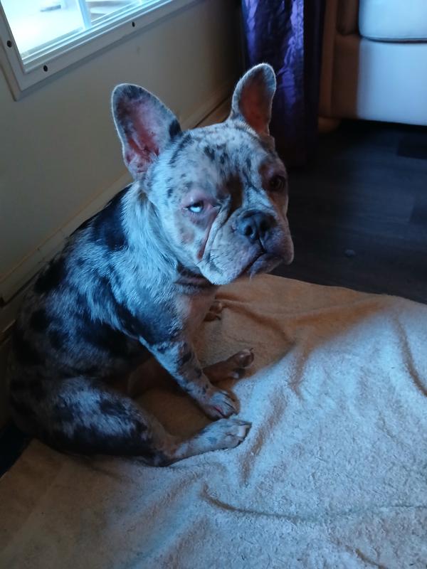 Photo - commentaire 2.