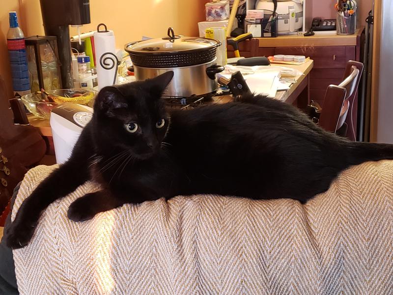 Maya