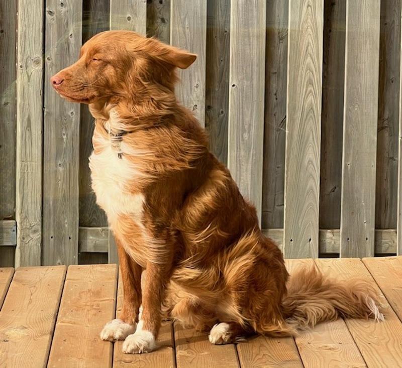 Wind tunnel testing.