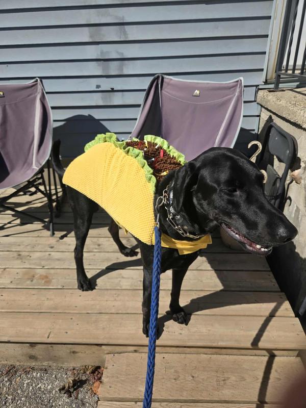 Photo - commentaire&nbsp;2.