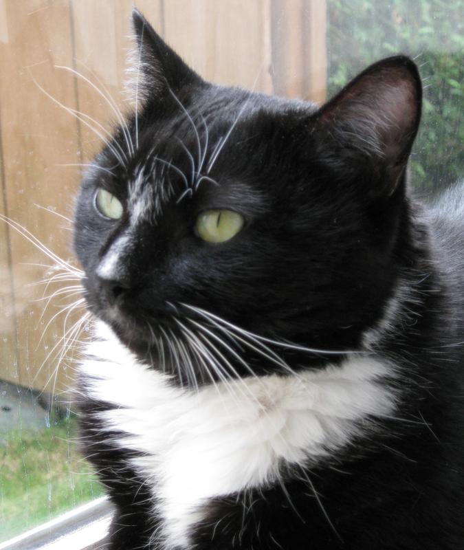 Tessa after her favourite food!