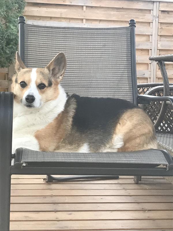 Photo - commentaire 8.