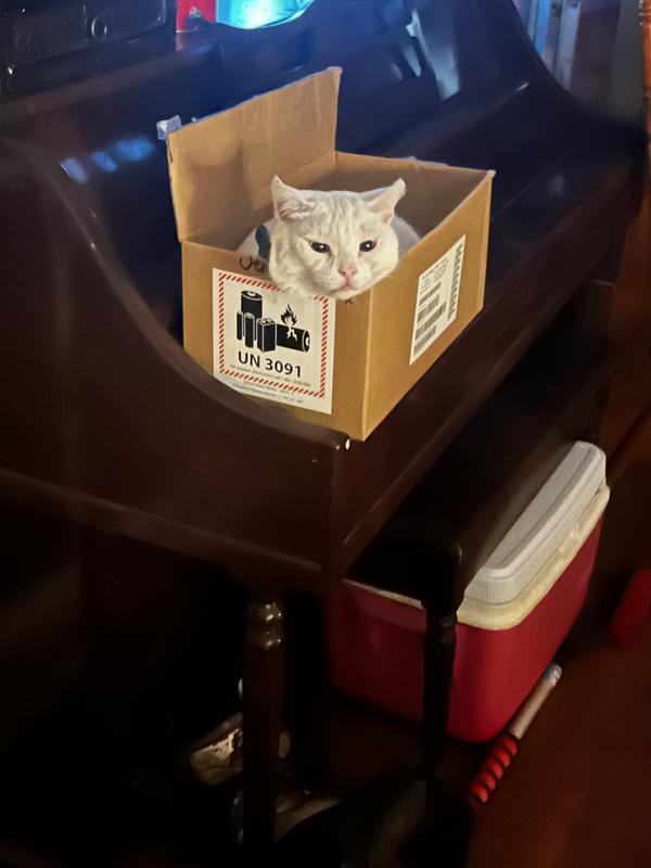 Photo - commentaire&nbsp;2.