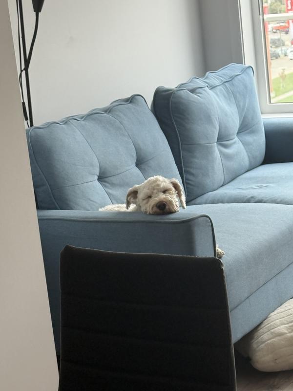 Belly full of beyond wild makes one happy sleepy boy!