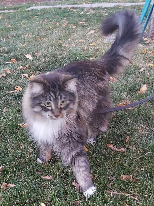 Out for a walk with mom