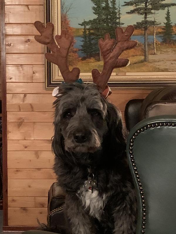 Henri waiting for Santa
