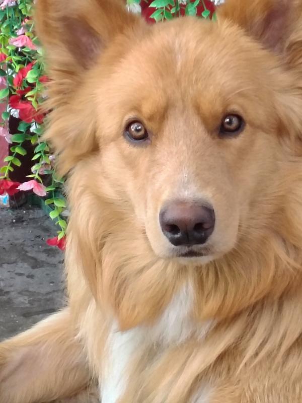 Photo - commentaire&nbsp;4.