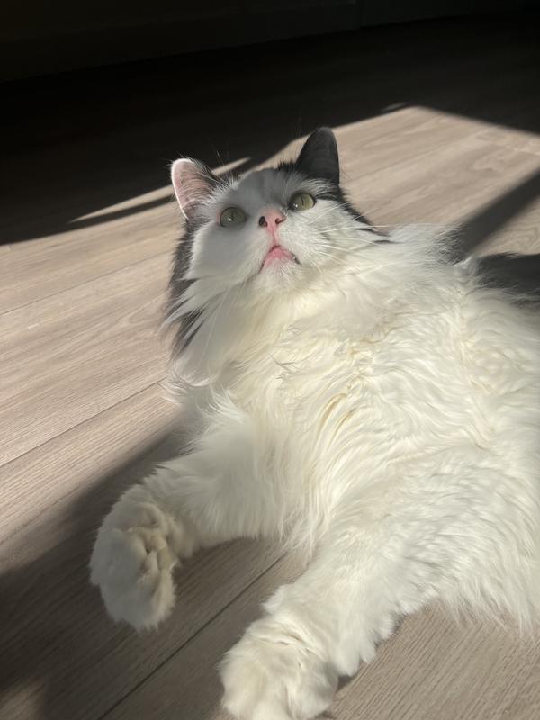 Post eating picture: fully full and satisfied