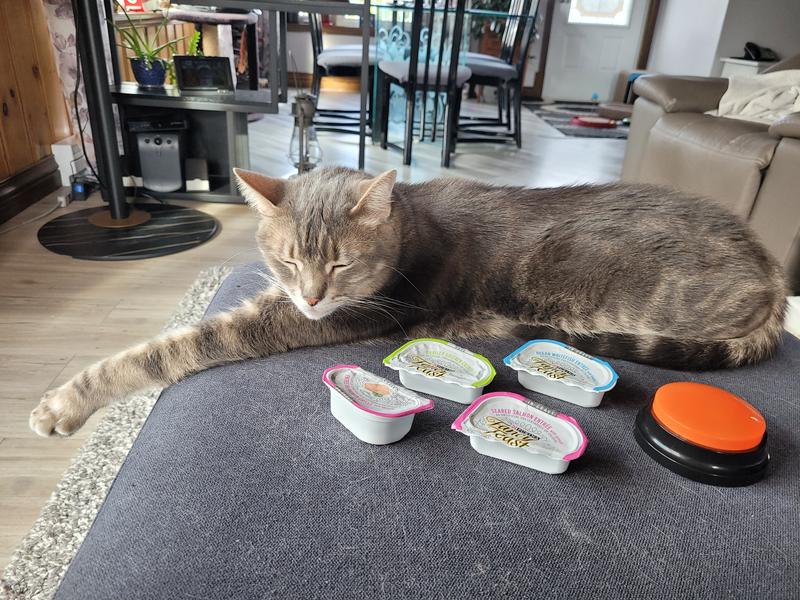 Un bouton pour demander mon Fancy Feast!