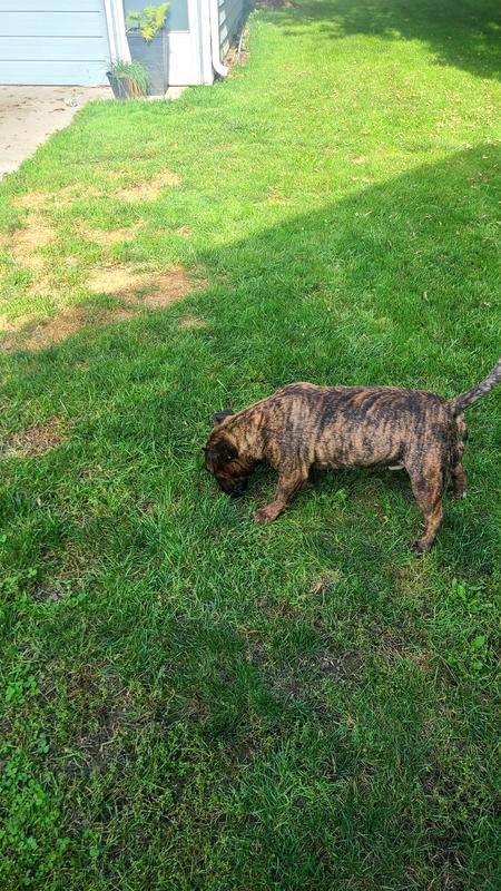 Just doin wut we do !