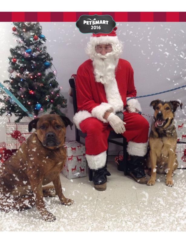 Photo - commentaire&nbsp;2.