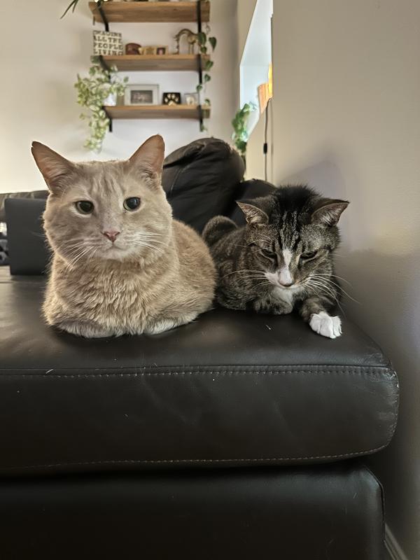 Photo - commentaire 3.