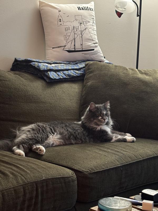 Relaxing after a tough day!!🙄