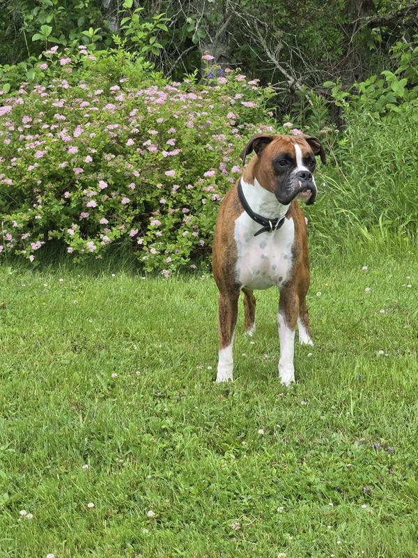 Just throw the ball