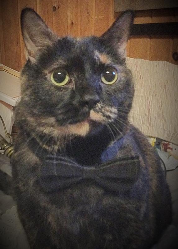 She loves her bow tie. Lol