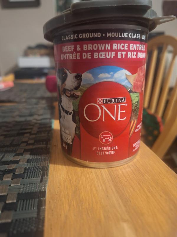 Photo - commentaire 1.