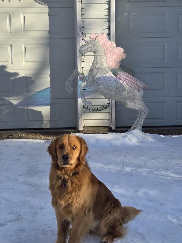 Fergus loving the snow