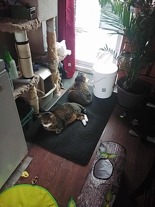 Photo - commentaire&nbsp;5.