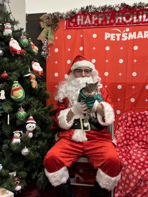 Photo - commentaire 3.