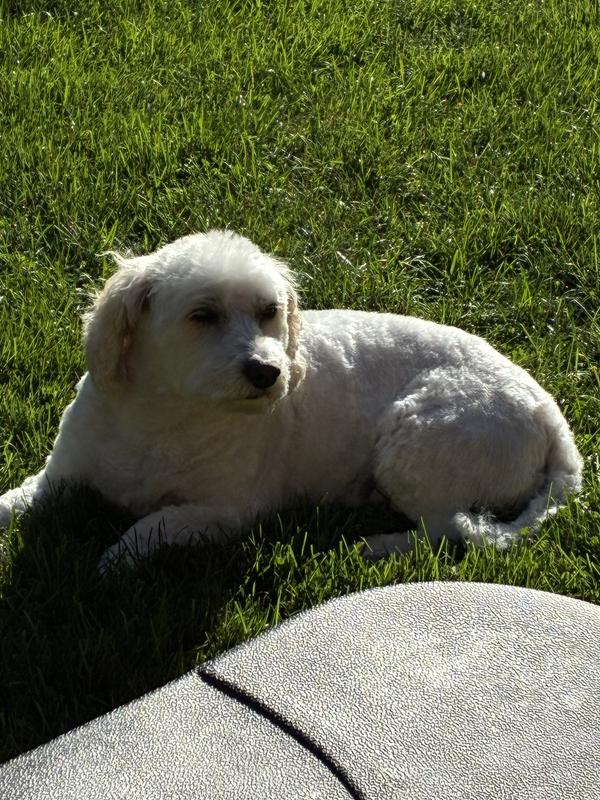 Photo - commentaire 4.