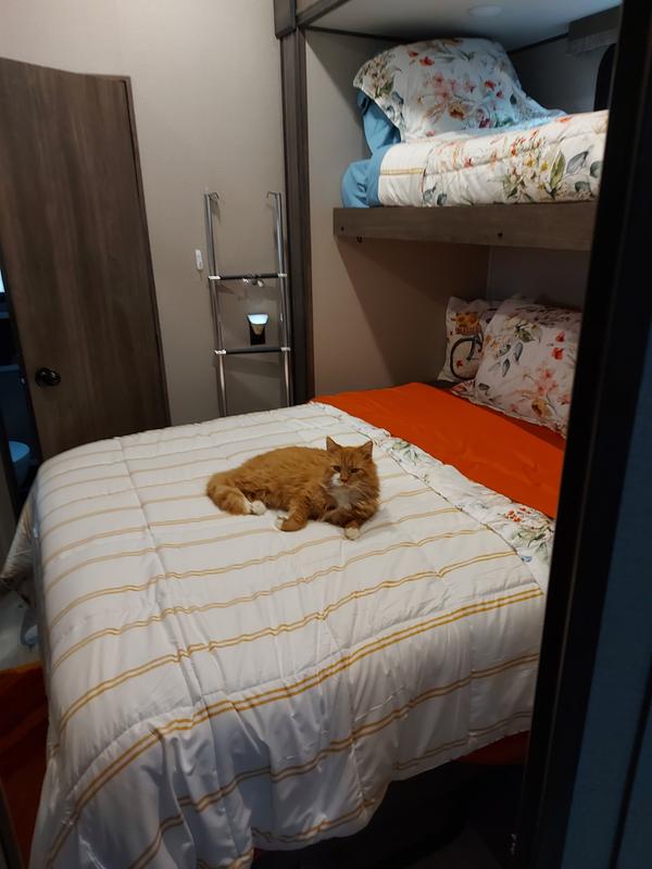 Pita! He showed up 2 years ago. He moved in last winter. He loves Purina!!