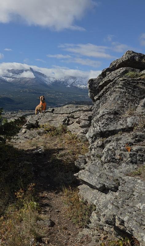 Saskatoon Mtn. Ascent