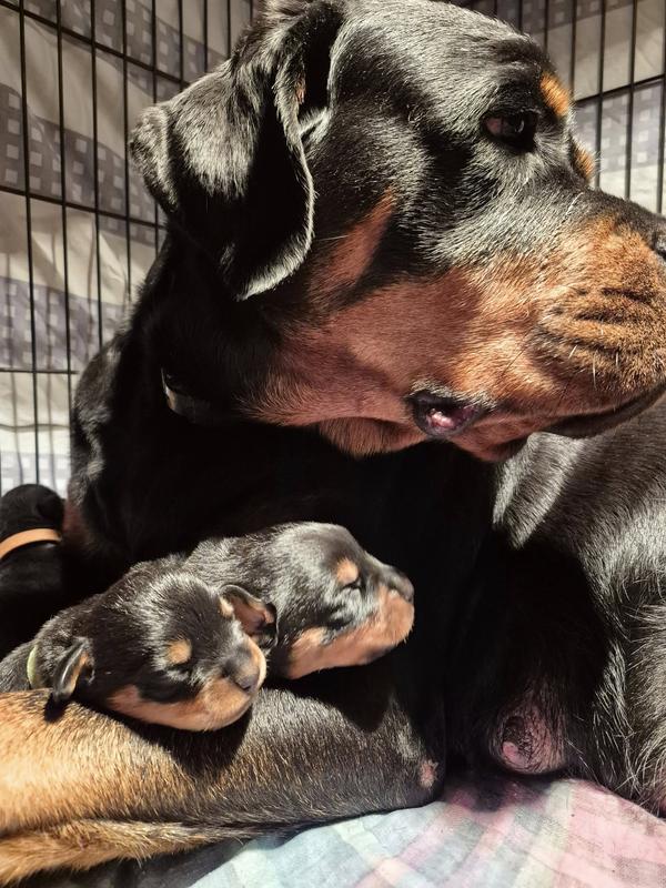 Mom says it's good for us.