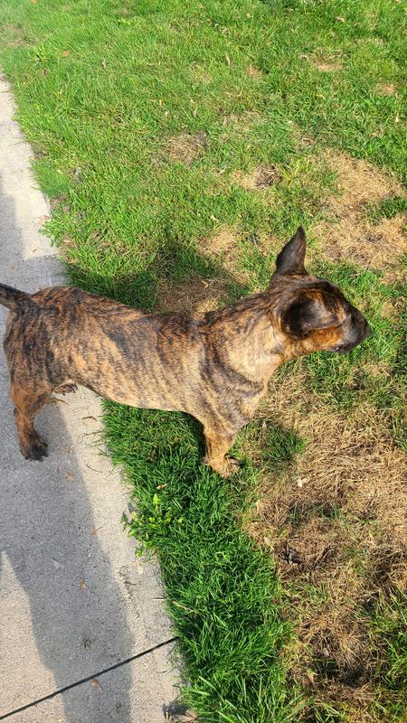 Enjoying the Sunshine!