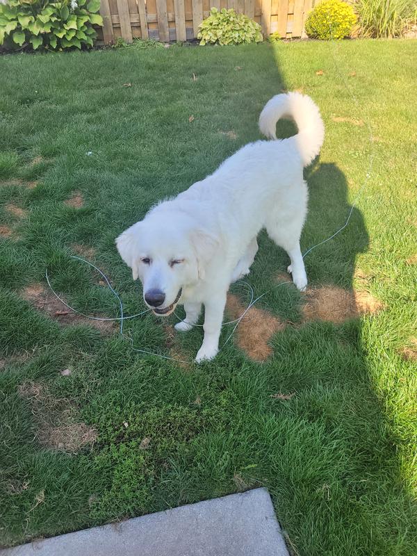 He is only 7months old