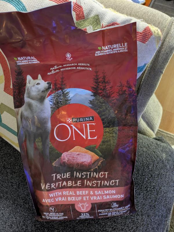 Photo - commentaire&nbsp;7.