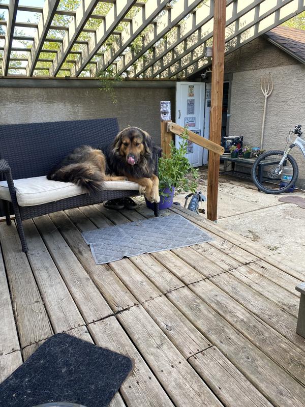 Photo - commentaire&nbsp;2.