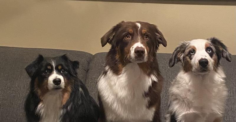 Photo - commentaire&nbsp;3.