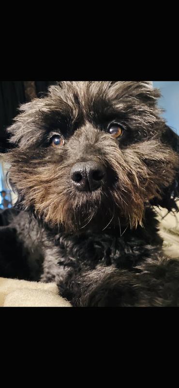 Photo - commentaire&nbsp;4.