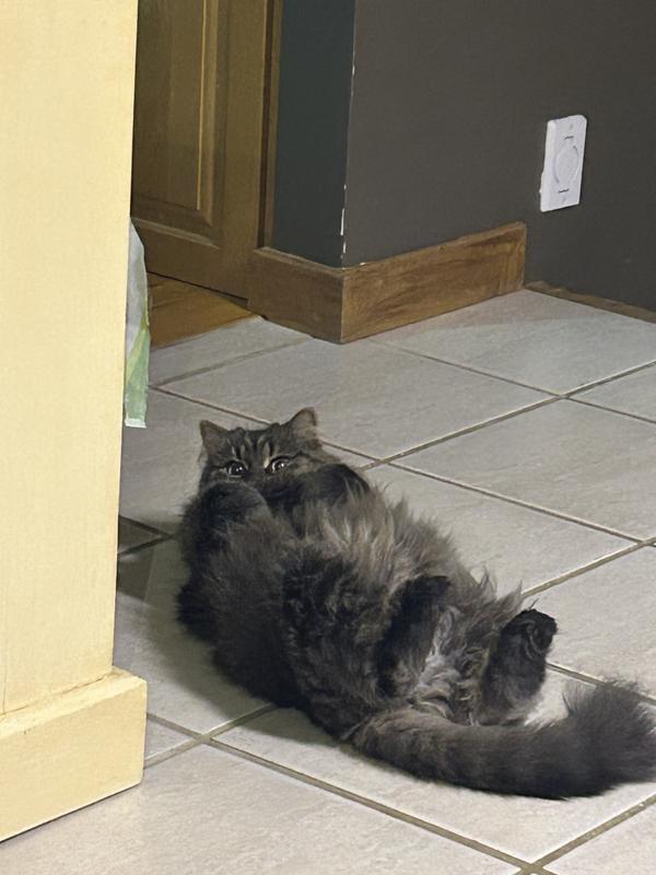 In her younger years