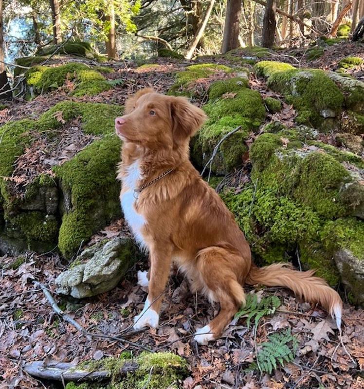 Much happier on the trails.