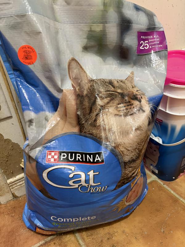 Photo - commentaire&nbsp;5.