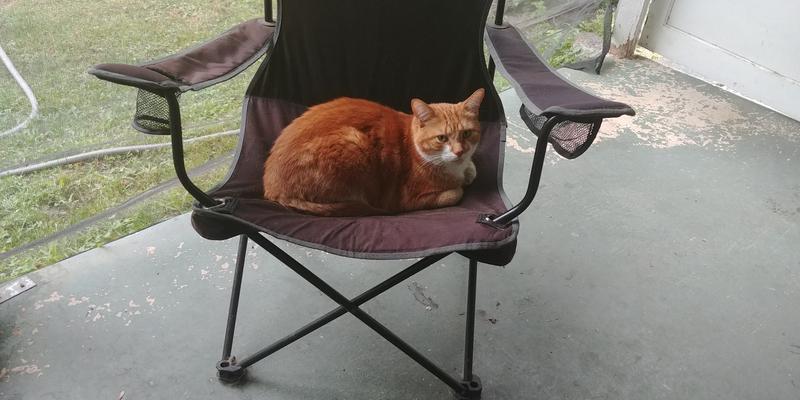 Photo - commentaire 3.