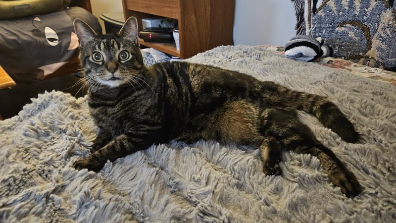 After breakfast relaxation