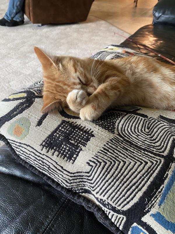 Photo - commentaire&nbsp;2.