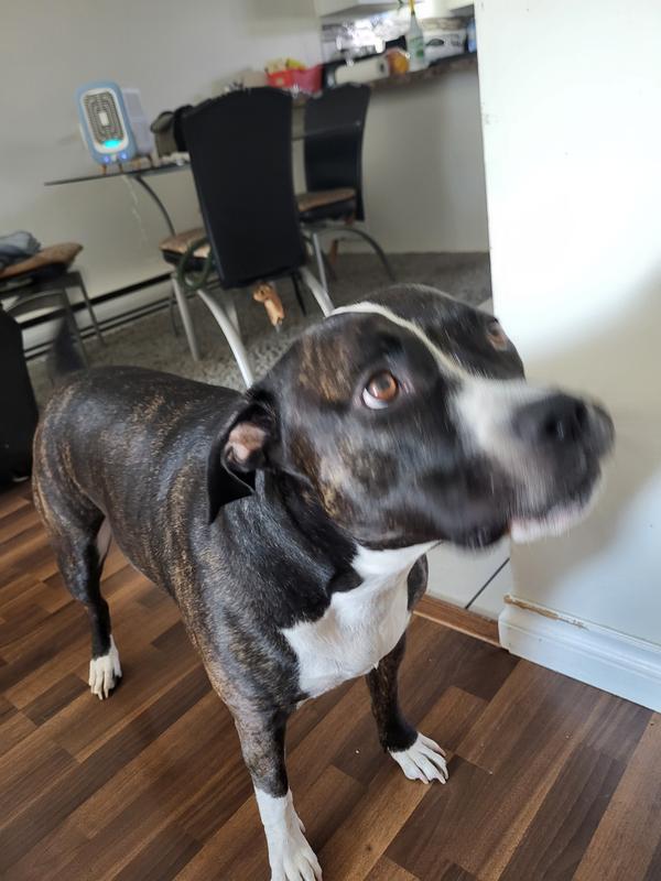 Photo - commentaire&nbsp;4.