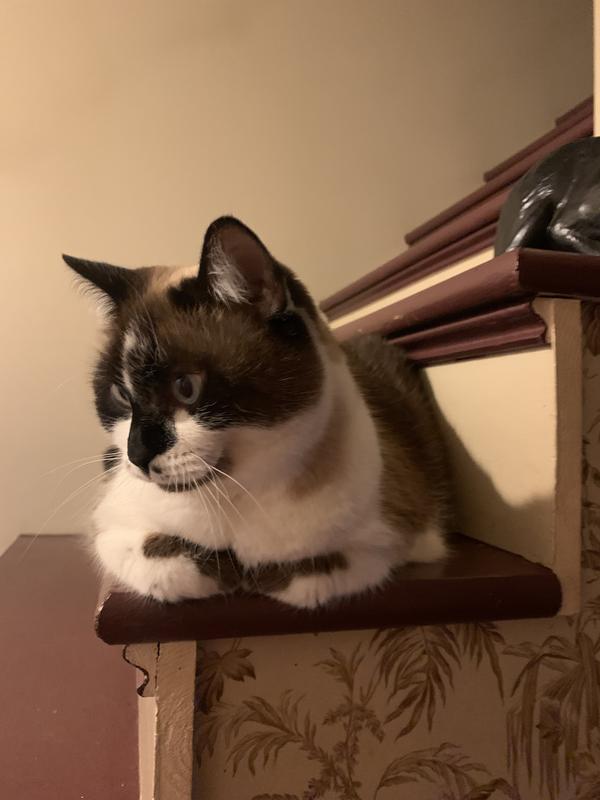 Waiting for Mom to come home