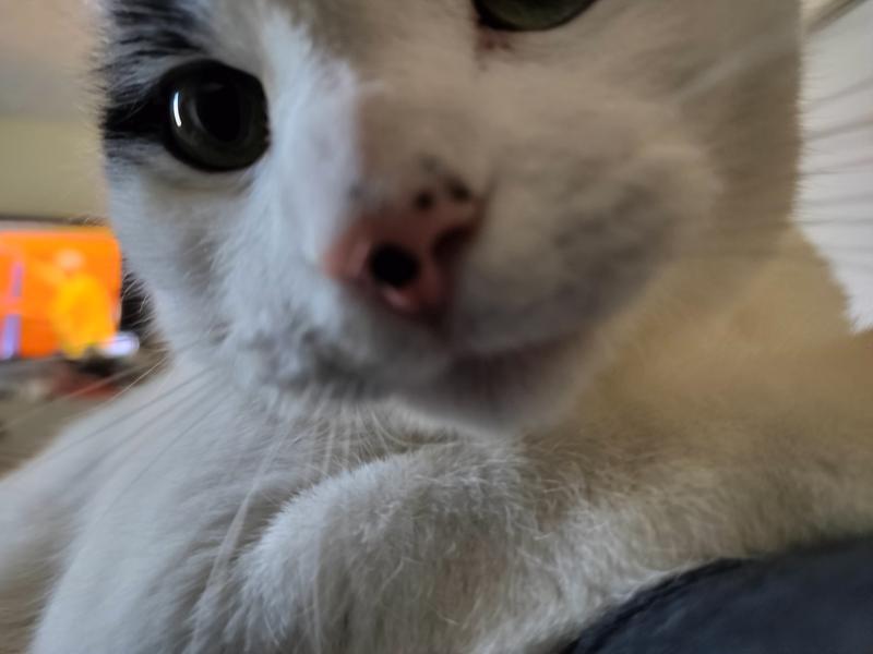 Close up of my 3 year old boy Jack!!